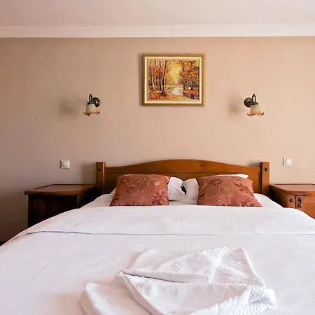 Hotel Holiday 酒店 波德戈里察