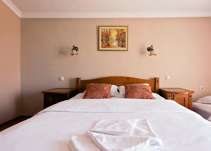 Hotel Holiday Hotel Podgorica